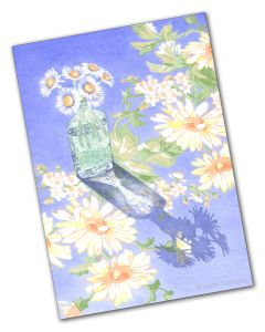 daisies, greeting cards