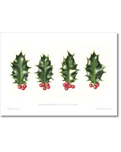 holly, botanical prints