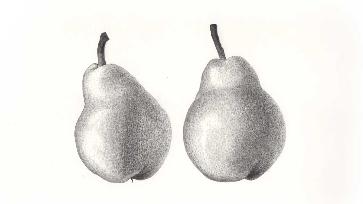 Pears