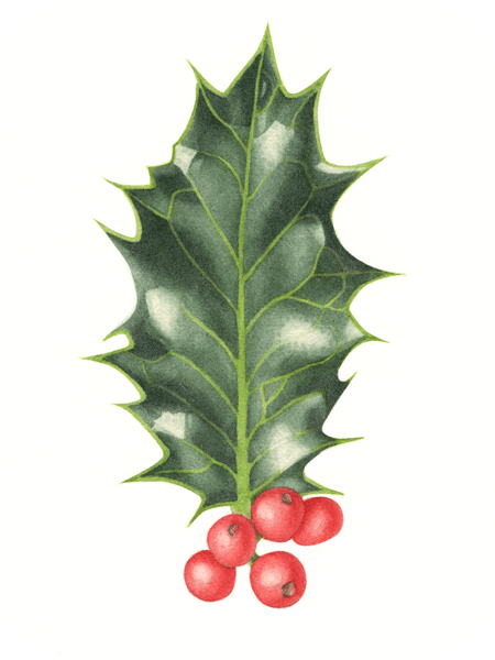 botanical art