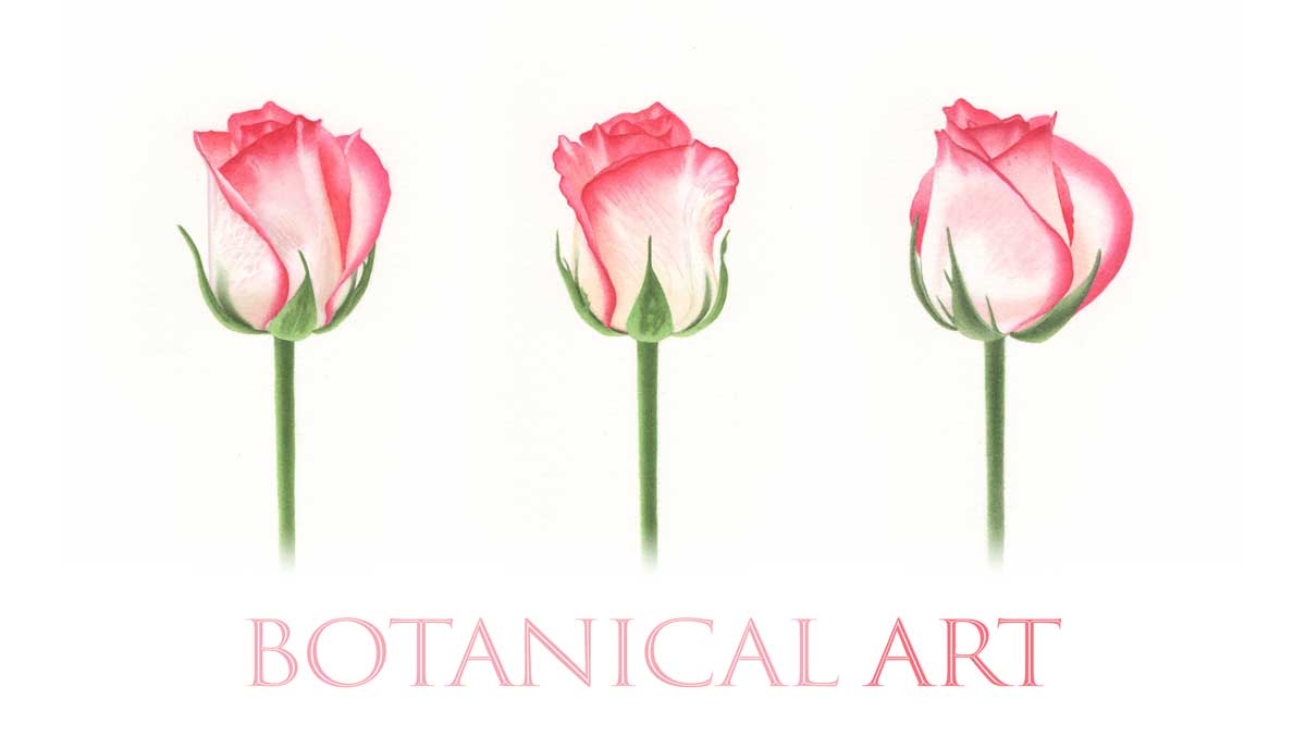 Botanical art Botanical art
